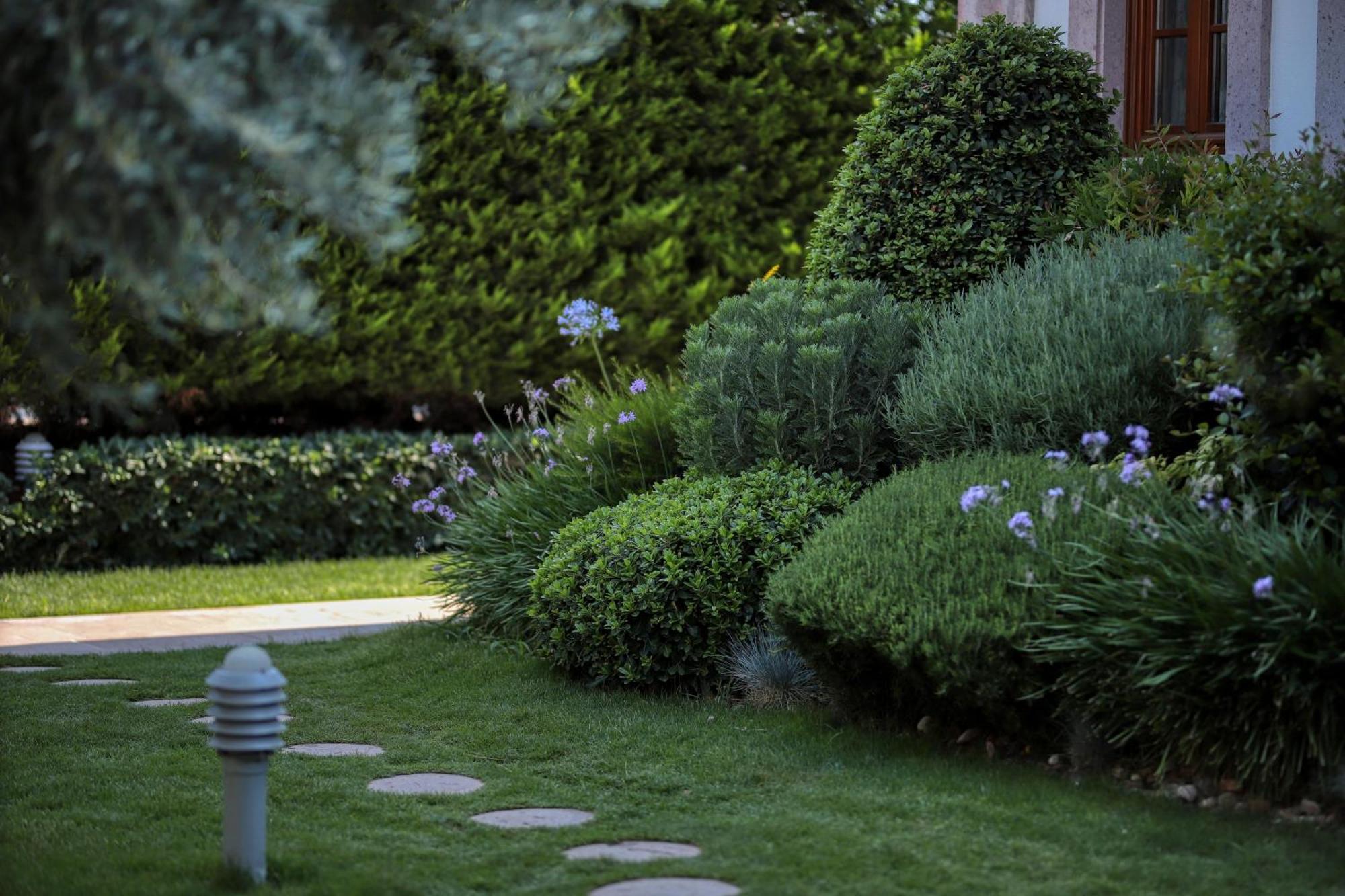 Tas Bahce Hotel Cunda Ayvalı Zewnętrze zdjęcie